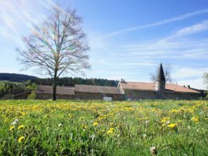 Le Printemps arrive !