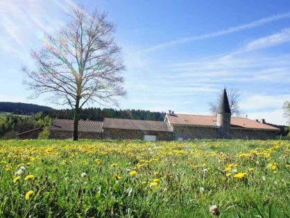 Le Printemps arrive !